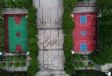王震公园景点图片