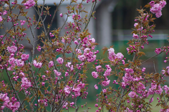 宁波五一哪里好玩?这个小众景点,带你躲避人潮的汹涌