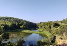 樱山花谷景点图片