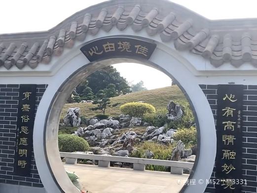 罗汉松园