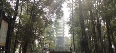 来凤山国家森林公园-腾冲-夢与遠方