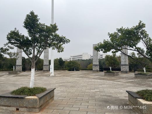 园博园