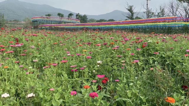 宜兴空中玻璃漂流景区