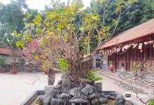 Dau Pagoda景点图片