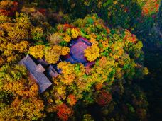 柴埠溪大峡谷-五峰