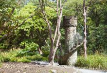 Clyne Gardens景点图片