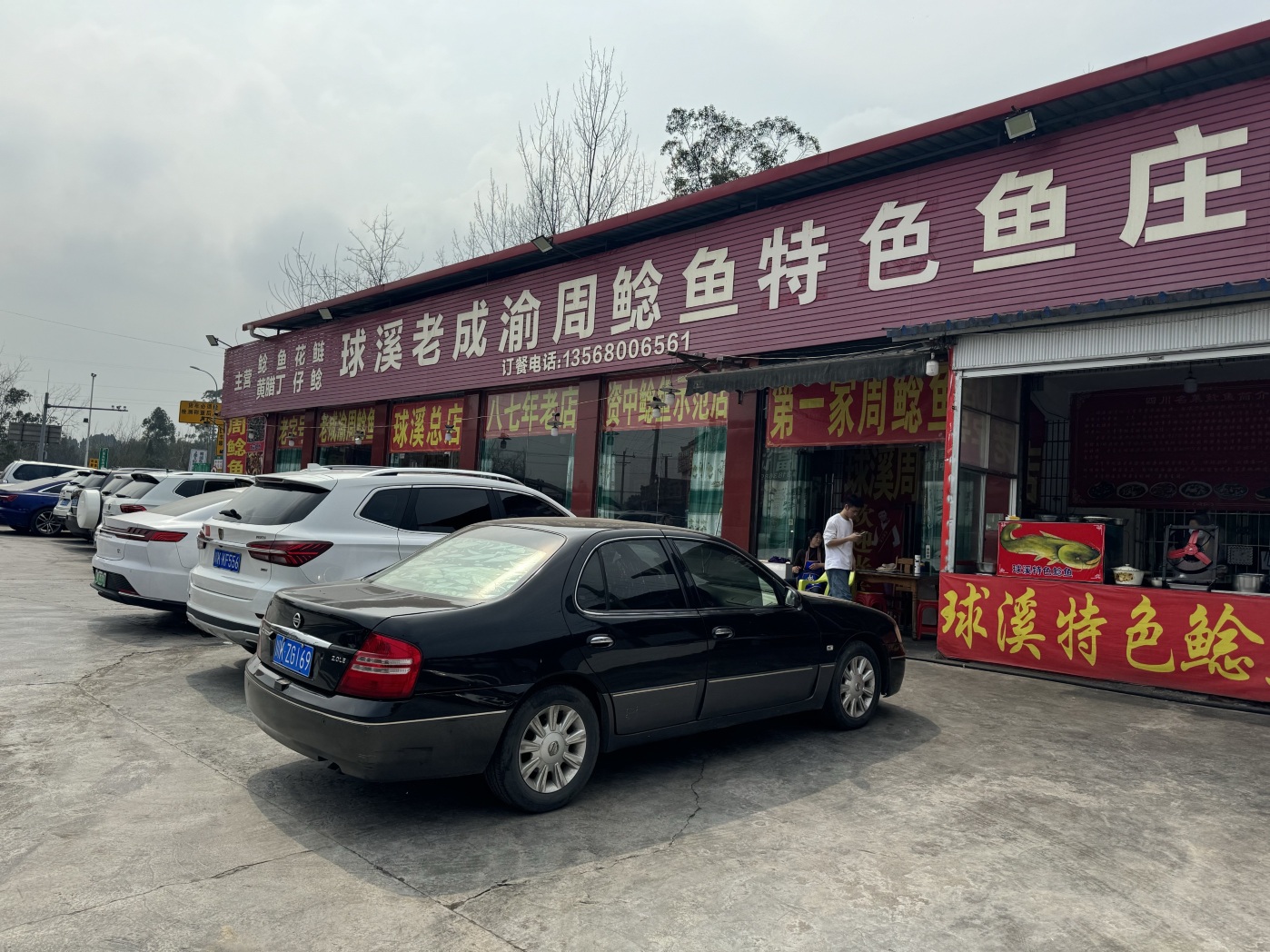 球溪老成渝周鲶鱼(总店)餐厅图片