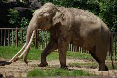 南昌动物园-南昌