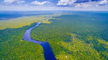 Amazon Rainforest