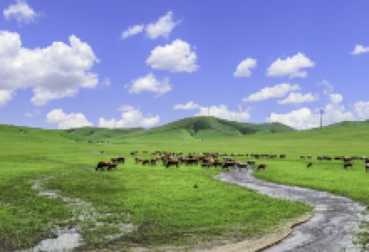 乌兰毛都草原景点图片