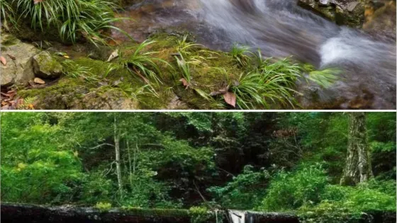 借母溪保子洞景區