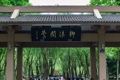 柳浪闻莺