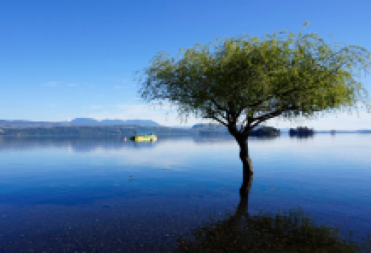 Playa Grande Lican-Ray景点图片