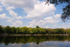 长春游记图文-寒冷东北的长春为啥叫“北国春城”？