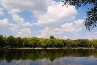 寒冷东北的长春为啥叫“北国春城”？