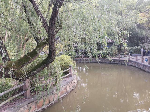 上海亭林遗址公园旅行图片 2