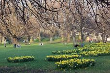 圣詹姆斯公园-伦敦-M43****7762