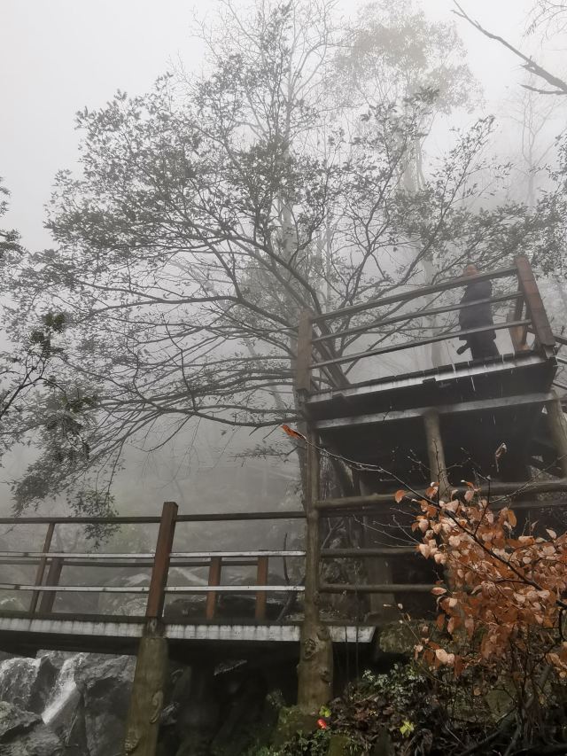 马鬃岭景区旅行图片 3