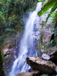 樱花谷-腾冲-梦中草枫