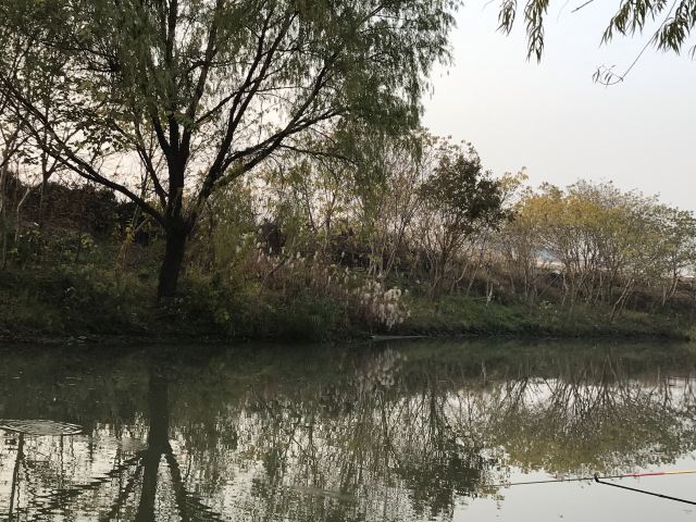 新江湾湿地生态观鸟拍鸟基地旅行图片 6