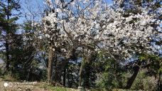 大幕山森林公园-通山-YoYo_2V7C6H1M