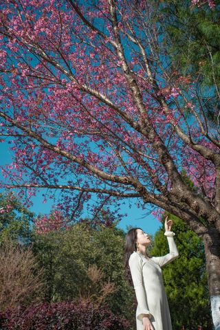 大理风华烟雨后，美丽相约梦蝶庄