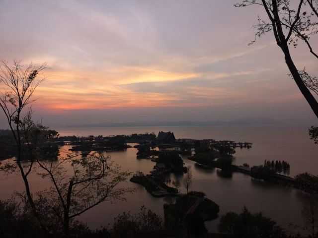 斗南湿地公园旅行图片 1