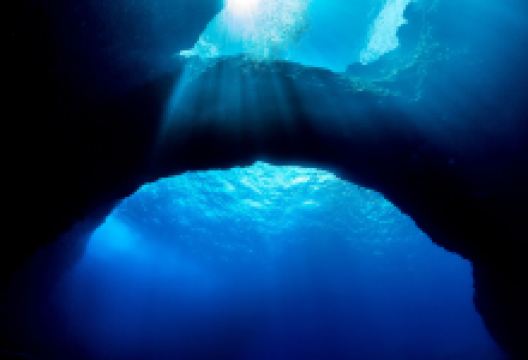 Gozo Diving购物图片