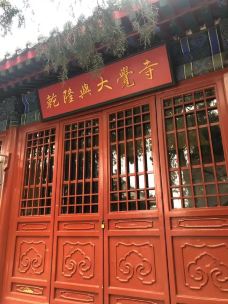大觉寺-北京-小小绿带爆米花