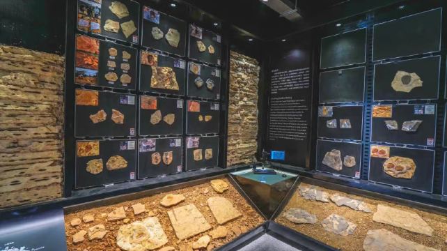 猛犸古生物自然科普馆