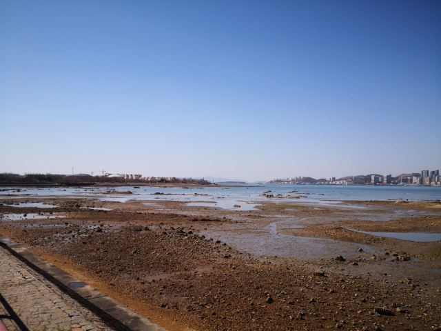 唐岛湾滨海公园-观景台旅行图片 1