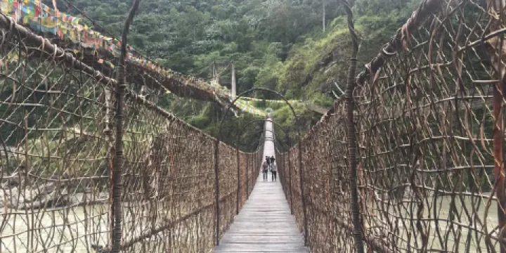 獨龍江藤橋接器