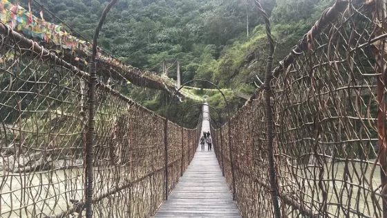獨龍江藤橋接器