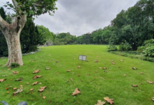 杨浦公园景点图片