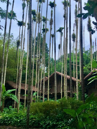 走进这个古老的黎村,感受别样的民族风