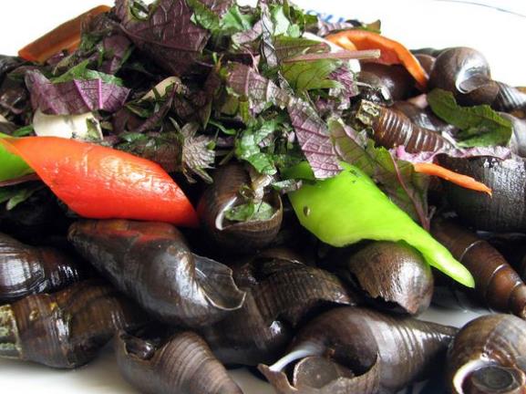 鼎湖山酒家餐厅图片