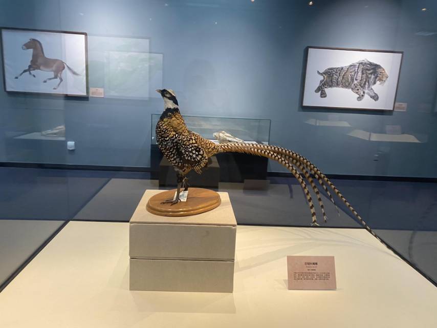 Gallery 3