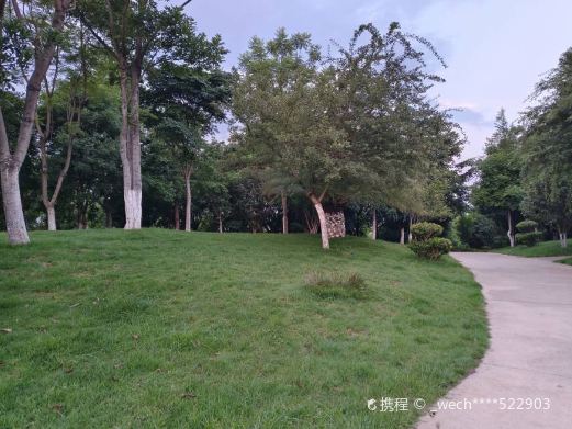 易门县南屯湖生态旅游园二期公园