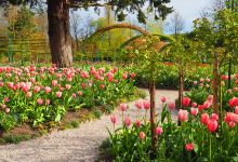 莫奈花园景点图片