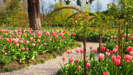 莫奈花園