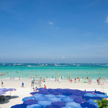 泰国曼谷+芭堤雅+格兰岛5日4晚自由行