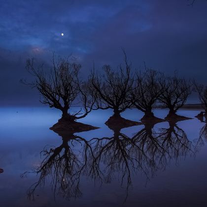 皇后镇+瓦纳卡6日私家团