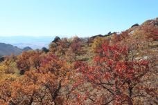 青山景区(克什克腾世界地质公园青山园区)-克什克腾旗-山河如此美丽