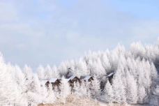 神农架-YoYo_5E3K5G3H