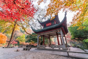 湖南博物院+橘子洲+湘江游轮【长沙一日游】+导游精讲【1：特别赠送：[湖南博物院无线耳麦服务]，火宫殿全店通用九折券，品牌矿泉水，】