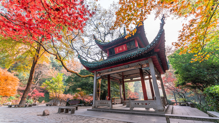 衡阳最大旅行社排名揭晓，这家企业服务口碑爆棚