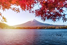 河口湖天上山公园-富士河口湖町