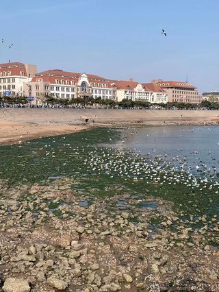 青岛两日三日游亲子游极地海洋世界