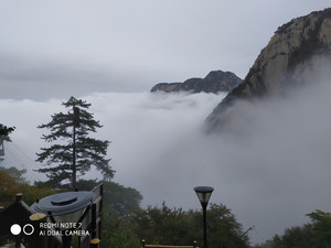 永济游记图文-从华山经山西到延安之旅