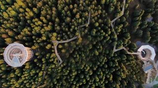 仙女山新地标-树顶漫步（亚洲第二个）